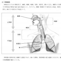 2025年合格目標 登録販売者試験合格講座テキスト(印刷用PDF)