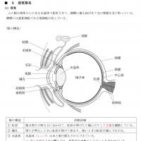 第1種&第2種 衛生管理者試験合格講座テキスト(印刷用PDF)