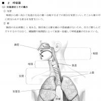 2024年版 医師事務作業補助者研修 第一分冊(印刷用PDF)【YouTube無料授業あり】